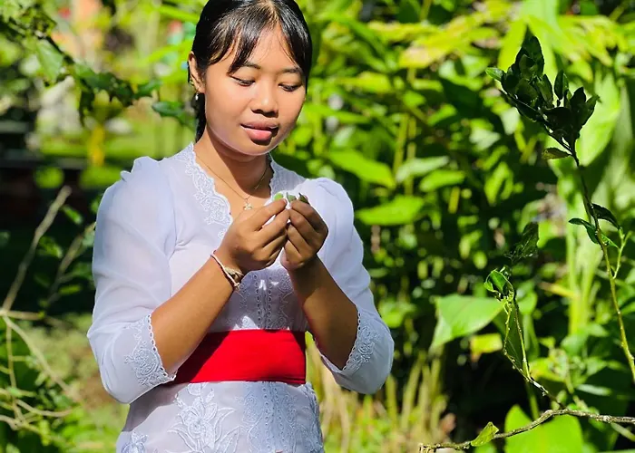 D'karang Eco Séjour chez l'habitant Undisan